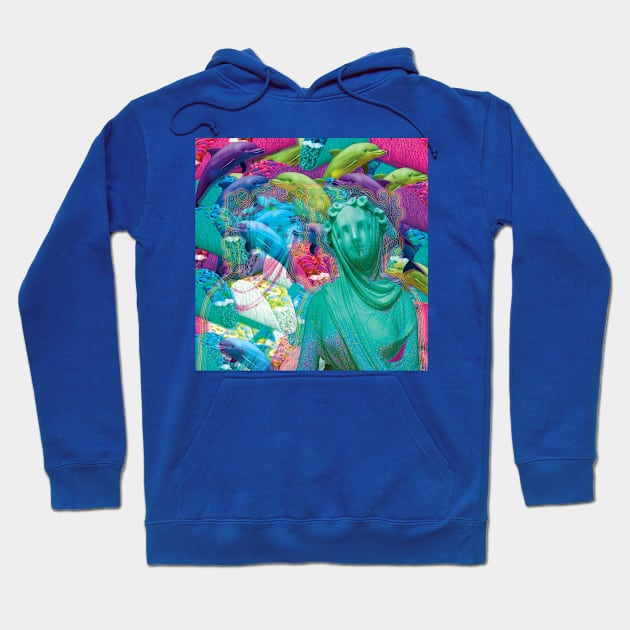 double dolphin dauphin Hoodie by STORMYMADE